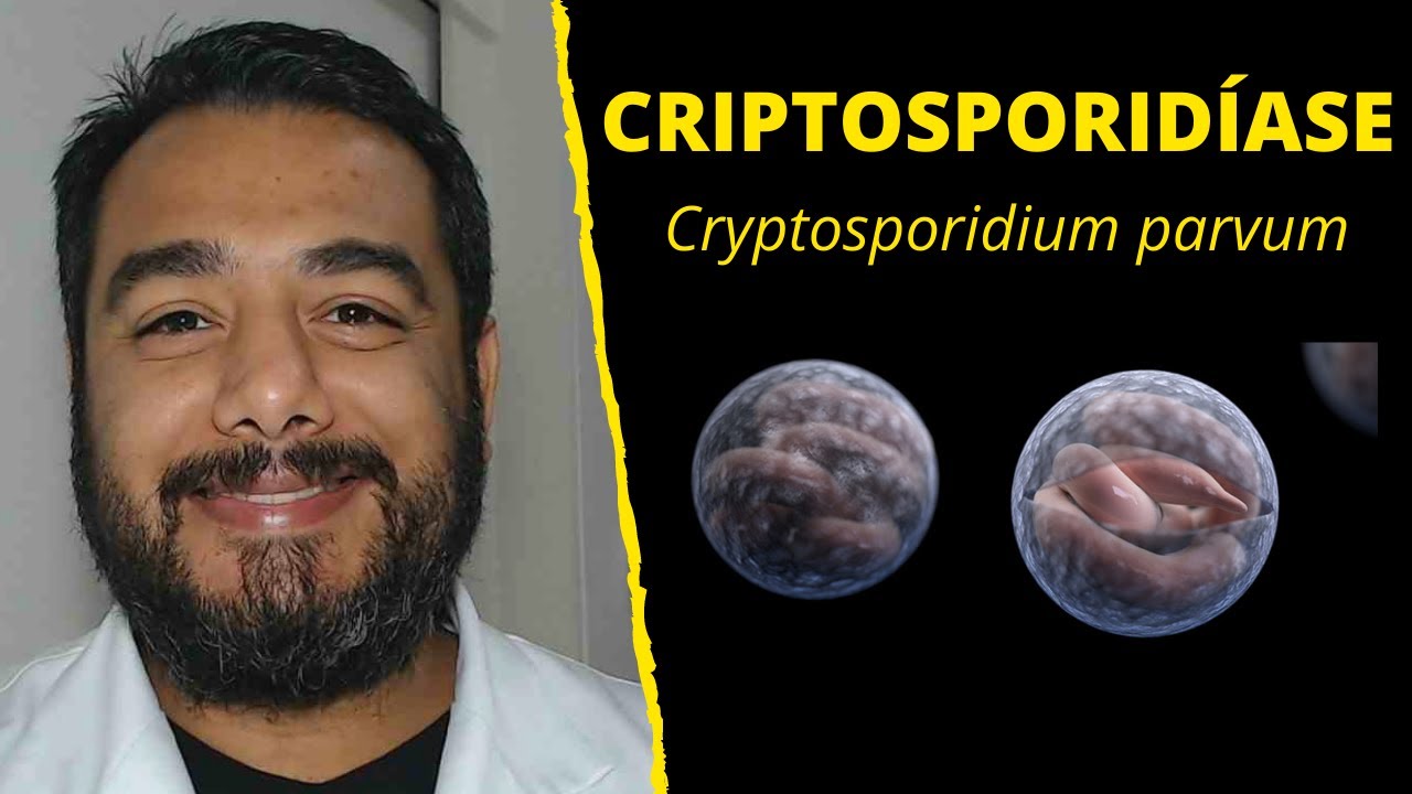 Criptosporidíase (Cryptosporidium parvum) | Curso de #Parasitologia Humana  Básica e Clínica
