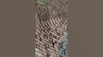 عندما يجتمع جمال الآيات مع جمال الصوت 🥺 الشيخ د.#ماهر_المعيقلي