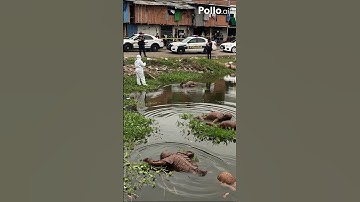 part198:mysterious  Alien First Contact | Stunning Sci-Fi Animation