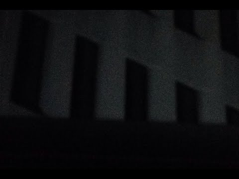 MPR Raccoon LIVE*
