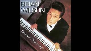 Watch Brian Wilson Country Feelin video