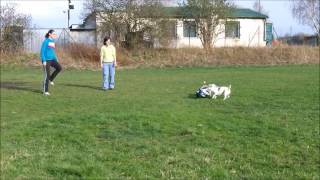 Spike a Babsi-coursing.wmv