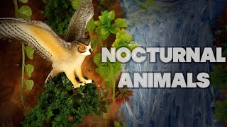 Meet the Nocturnal Animals | African Jungle Diorama for Kids!