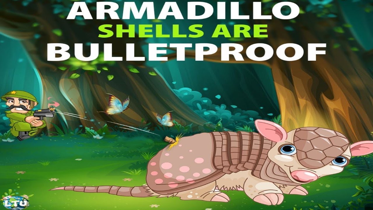 10 amazing facts. Armadillo bullet proof shell - YouTube
