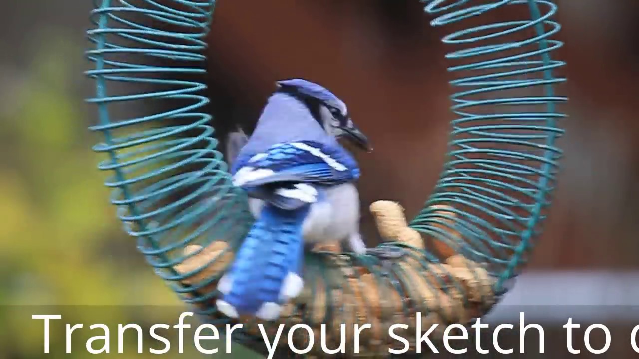 how to transfer your sketch to canvas for painting acrylic painting