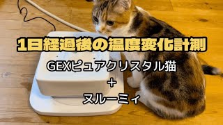 1日経過後の温度検証　自動給水器&ヒーター　GEXピュアクリスタル猫&ヌルーミィ　マンチカン子猫　生後5ヶ月
