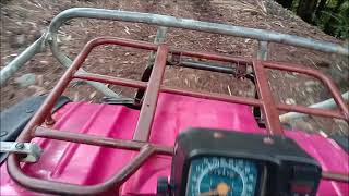 Suzuki Quadrunner LT F250