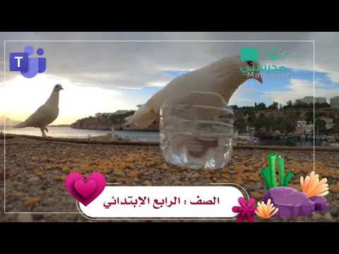 مونتاج يوم التطوعي العالمي سقي الماء اداء الطالبة أحلام الزعيم نشيد اسقي طيرا 