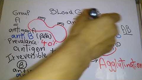 Blood new system (Blood groups and Blood Transfusion) dr mohamed fayez