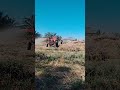 ١٣ يونيو ٢٠٢٦
