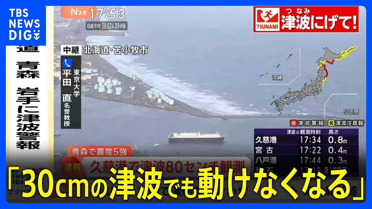People can become immobile even in a 30-centimeter tsunami