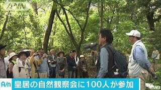 吹上御苑の観察会に市民100人　絶滅危惧植物も(17/05/04)