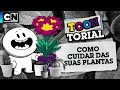 COMO CUIDAR DAS SUAS PLANTAS | TOONTORIAL | CARTOON NETWORK