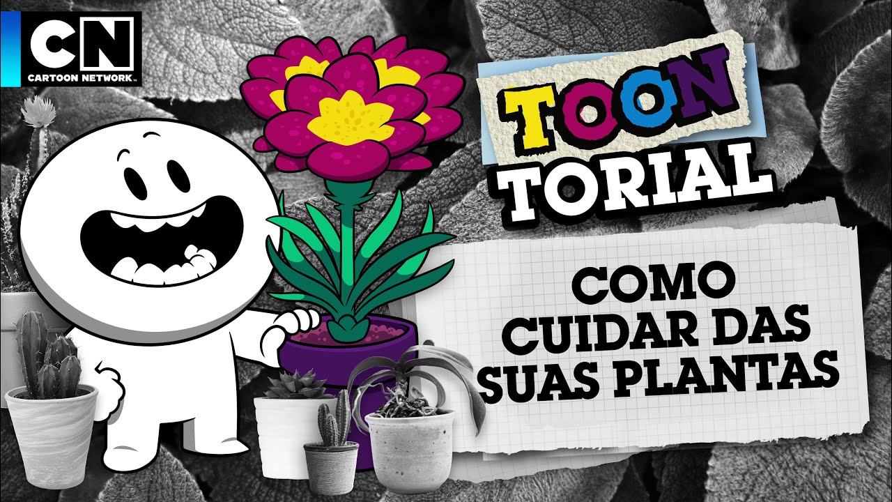 Cartoon Network Brasil - Plano do dia: ajudar o Soluço e o