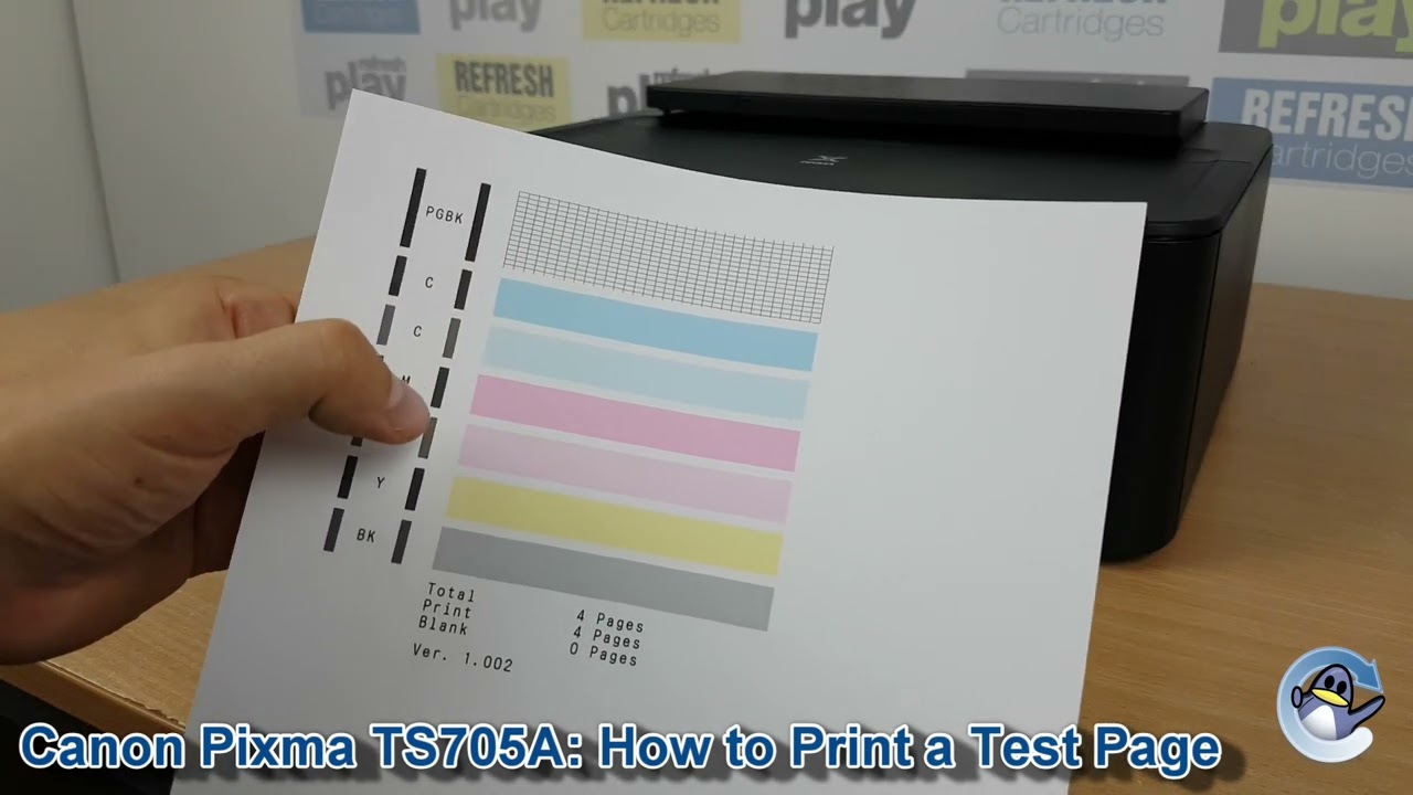 Canon Pixma TS705a: How to Print a Nozzle Check Test Page 