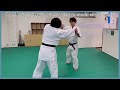 Katate mochi nikajo osae 2  aikido 