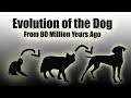 Timelapse evolution of the dog every year  80 million years in a