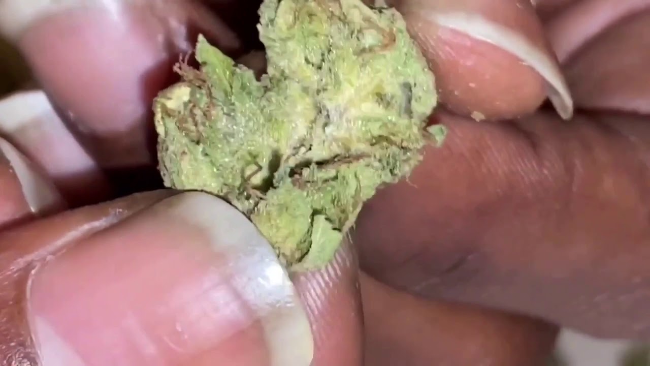 MY TOP 5 STRAINS OF 2020 !