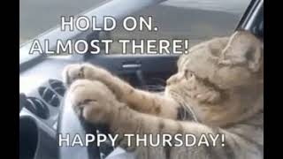 happy thursday #funny#