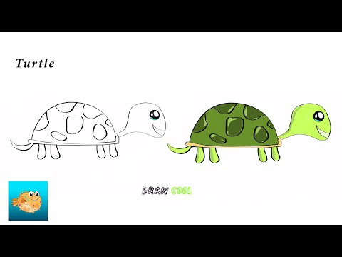 How To Draw A Cartoon Turtle