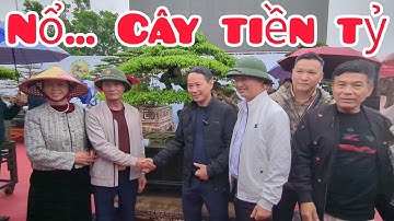 Nổ tác phẩm tiền tỷ về quê hương xứ Thanh trước giờ khai mạc ra mắt câu lạc bộ 1978