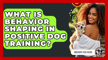 What Is Behavior Shaping In Positive Dog Training? - Obedient Dog Guide