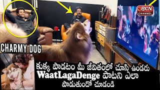 Charmy Dog Singing Waat Laga Denge Song From LIGER Movie | Vijay Devarakonda | Puri Jagannadh | Bcn