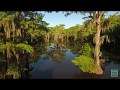 Caddo Lake Colors Postcard From Texas