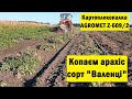 Копаєм арахіс сорт "Валенція" польською картоплекопалкою AGROMET Z-609/2