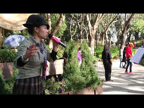 Coco演唱《倩影》原唱蔡枫华