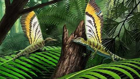 This 247 Million Year Old Reptile Had A Mohawk?!