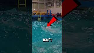 Almost No One Can Finish This Swimming Training 😳