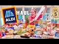 MASSIVE ALDI Grocery Haul! BIGGEST Variety Yet - Our Debt Disaster