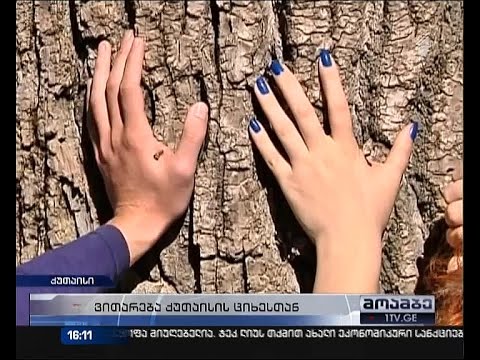 პატიმარ პერტაიას შვილებმა ხელები ხეზე მიიჭედეს