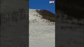 Şad xəbər - Azərbaycan hərbçiləri Qaraqlux yüksəkliyində Resimi