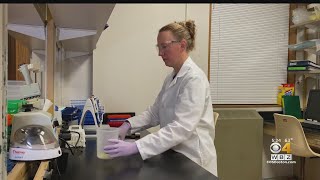 NIH Investigating Possible Link Between COVID Vaccine And Changes To Menstrual Cycles Wealth