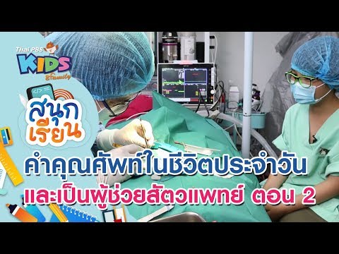 คำคุณศัพท์ในชีวิตประจำวัน และเป็นผู้ช่วยสัตวแพทย์ ตอน 2 : สนุกเรียน (3 มิ.ย. 63)