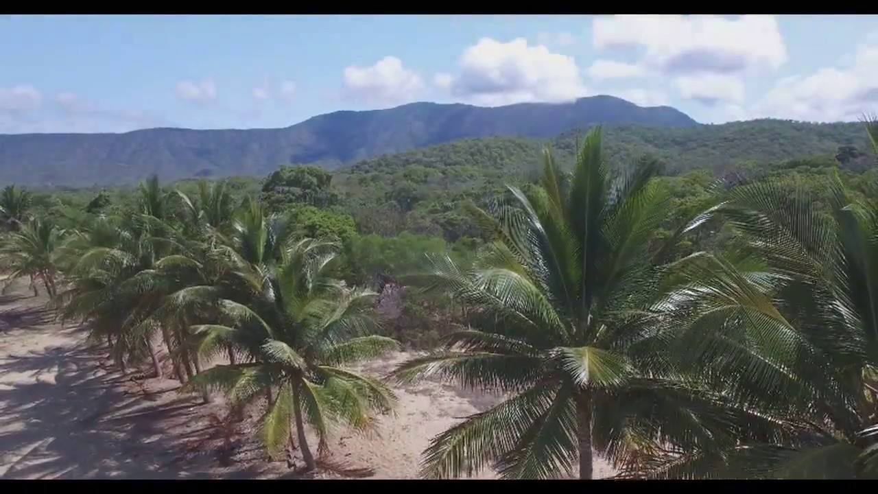 Wangetti Beach Qld Australia