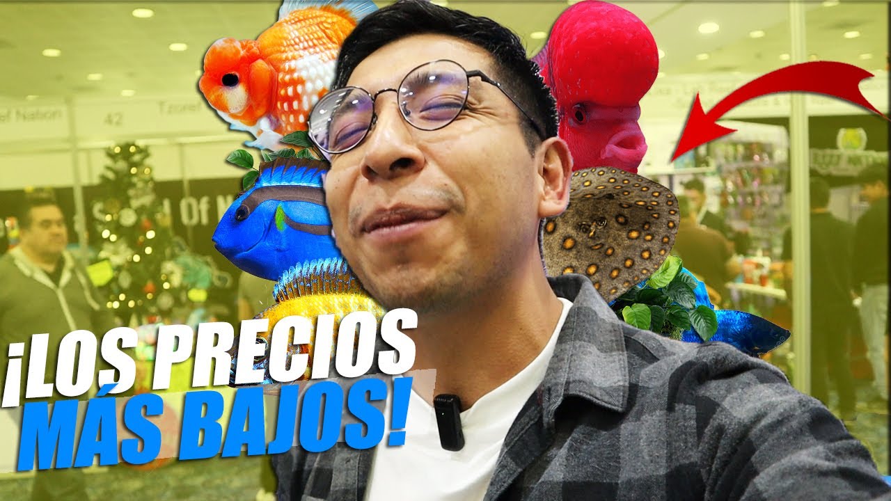 Experiencia Acuatica Internacional 2024 🐟 |  CON PRECIOS 🤑