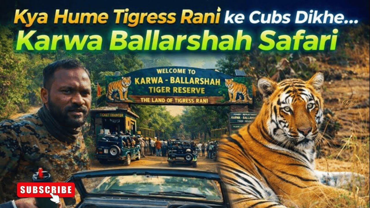 Tigress RANI Steals the Show | Queen of Karwa Ballarshah Sitting Close & Watching Us