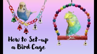 How to Set-up a Budgie Cage
