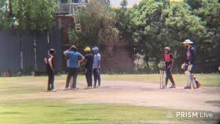 LTP MATCH live