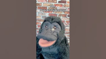 Puppet Safari Ep28- Safari animals tell jokes at a comedy club-The Puppet Hideaway with Eric Thomsen