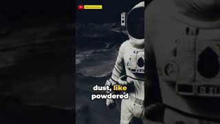 what does it feel like to walk on the moon #spacex #factshorts #science #moon #moonfacts #spacefacts