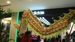 adidas lucky chinatown