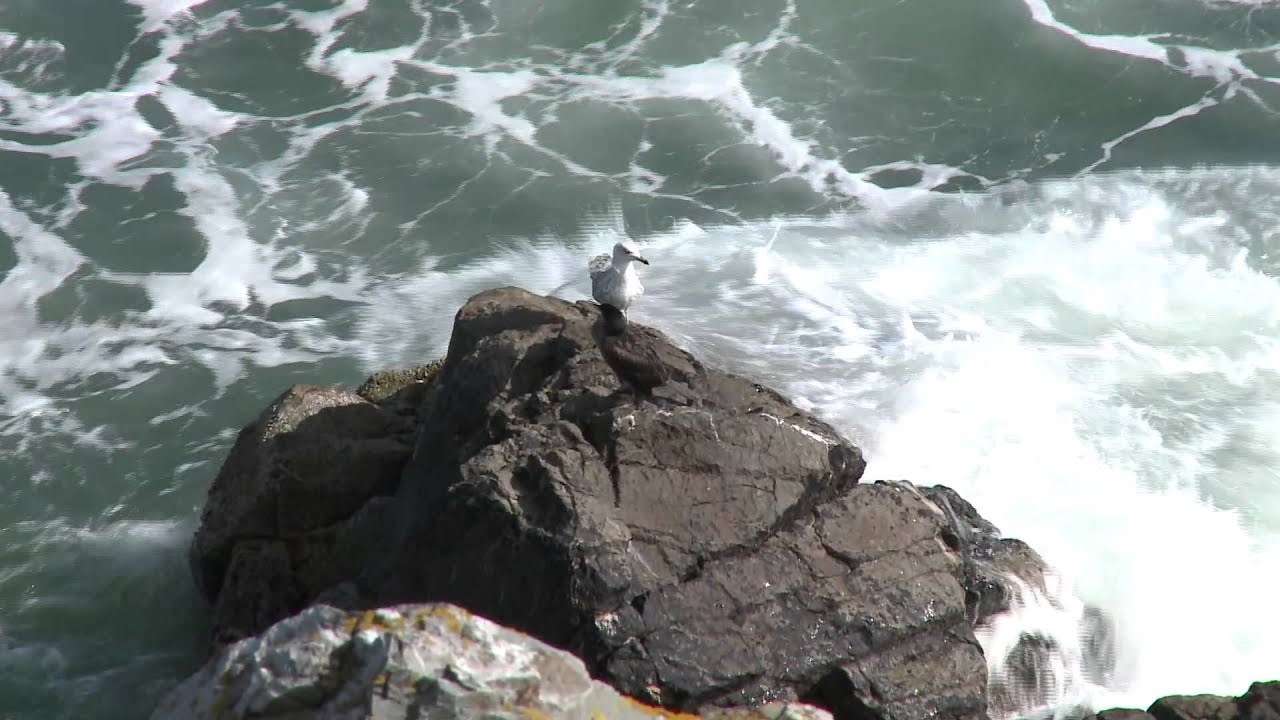 Howth Bailey Lighthouse Final