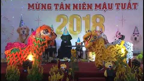 Tất niên công ty Việt Á Châu và Lực Quán năm 2017 Tập 01