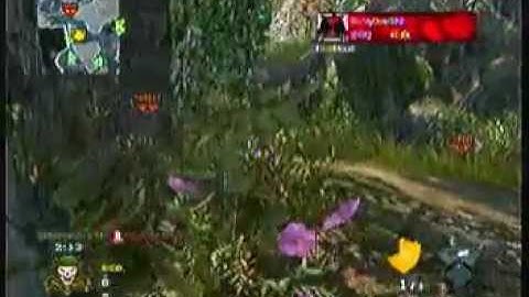 Dolphin Dive tomahawk