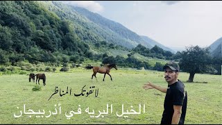 # فلوق (65) الخيل البريه ف أذربيجان في قريت قابالا🐎 by عامر ال منجم 27,588 views 1 year ago 11 minutes, 40 seconds