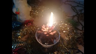 Живая свеча из леса на Новый год.2023 праздники